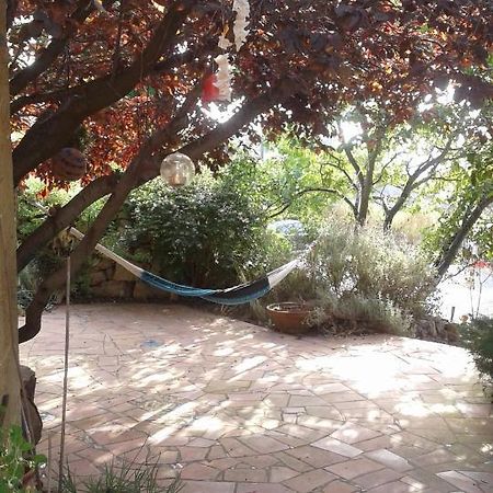 Atelier Pasquer Bed & Breakfast Fitou Exterior photo